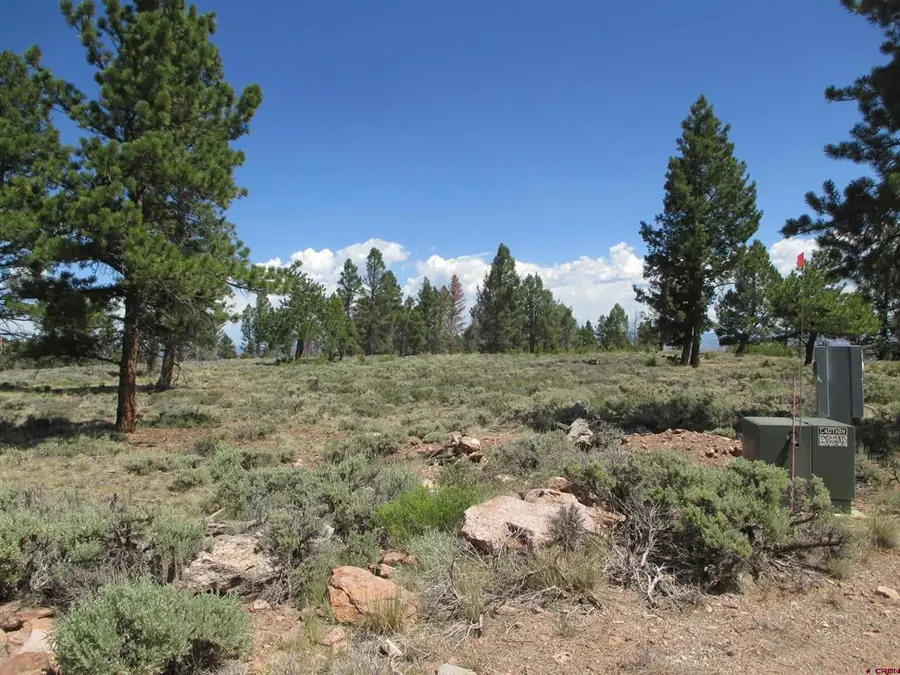 809 Schofield Trail, Powderhorn, CO 81243 - #2