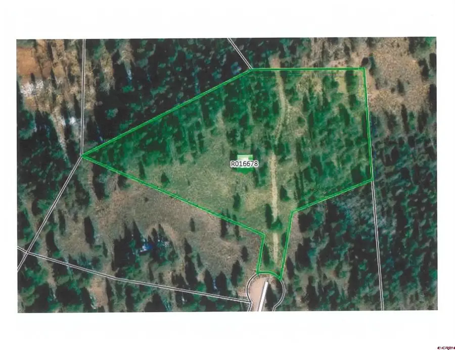 809 Schofield Trail, Powderhorn, CO 81243 - #3