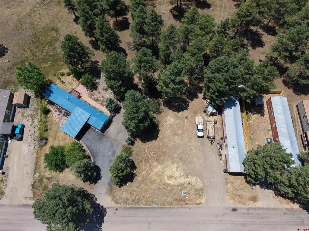 234 Fireside Street, Pagosa Springs, CO 81147 - #1