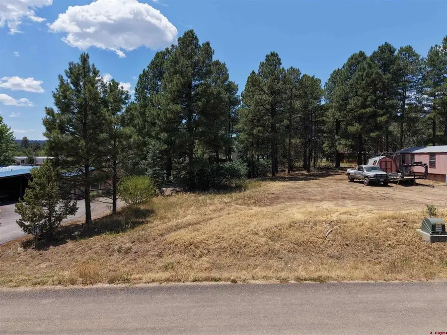 234 Fireside Street, Pagosa Springs, CO 81147 - #2