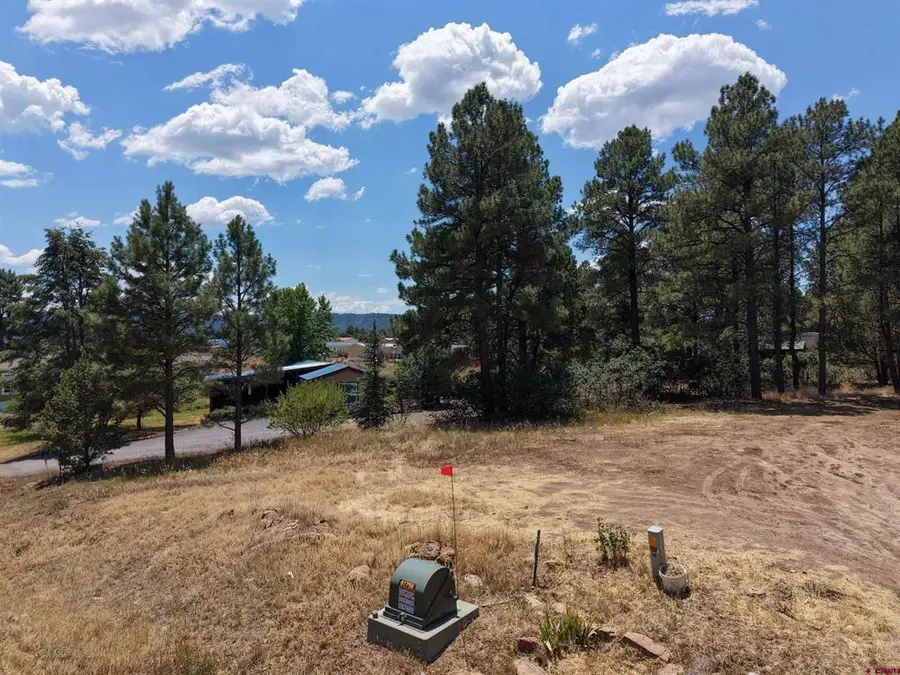 234 Fireside Street, Pagosa Springs, CO 81147 - #3