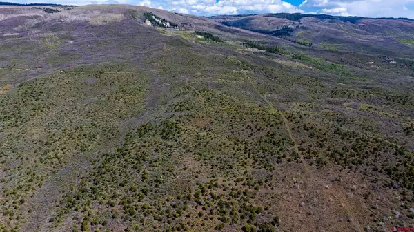 Parcel 3 W Elk View Drive, Cedaredge, CO 81413