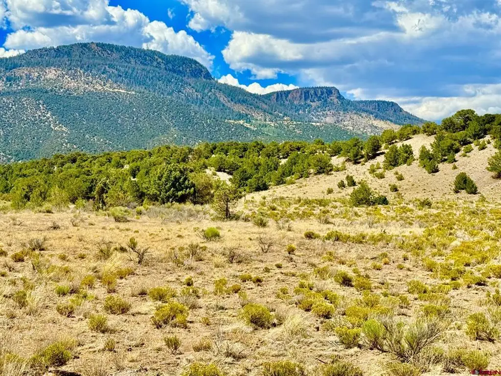 5351 County Road 15, South Fork, CO 81154 - #1