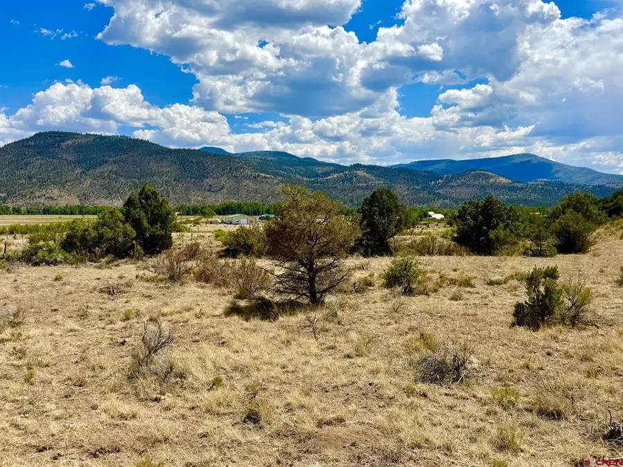 5351 County Road 15, South Fork, CO 81154 - #2