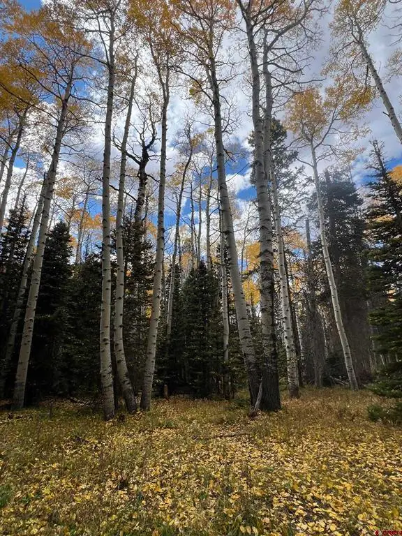 185 Aspen Trail, Cimarron, CO 81220