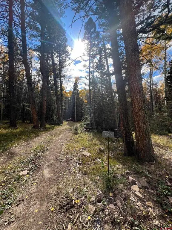 185 Aspen Trail, Cimarron, CO 81220 - #2