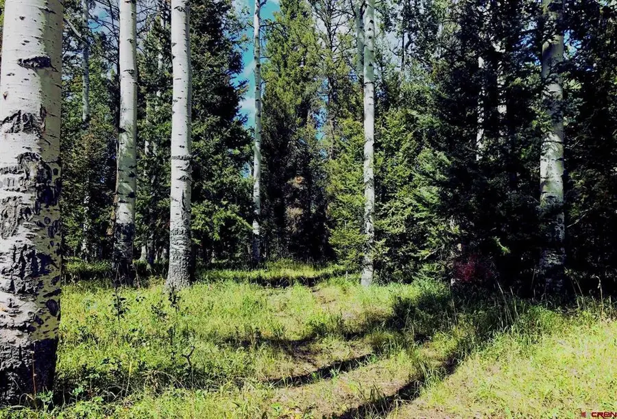 185 Aspen Trail, Cimarron, CO 81220 - #3