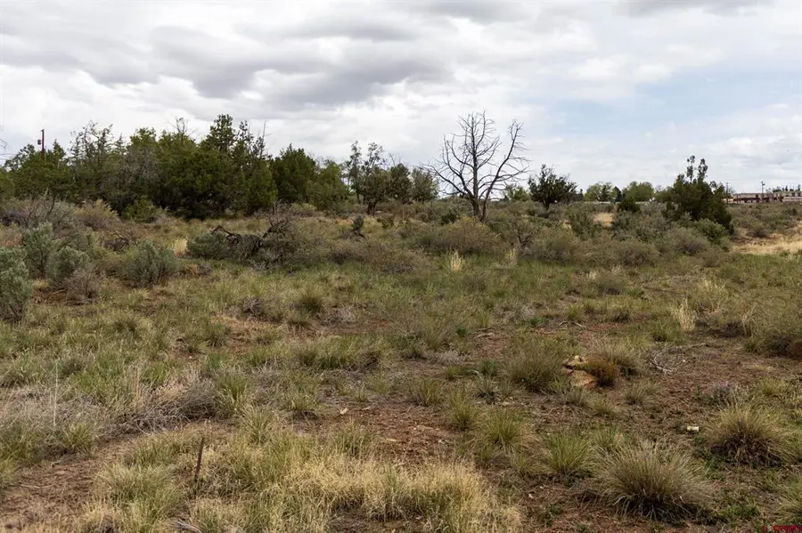 TBD S Broadway Highway, Cortez, CO 81321 - #3