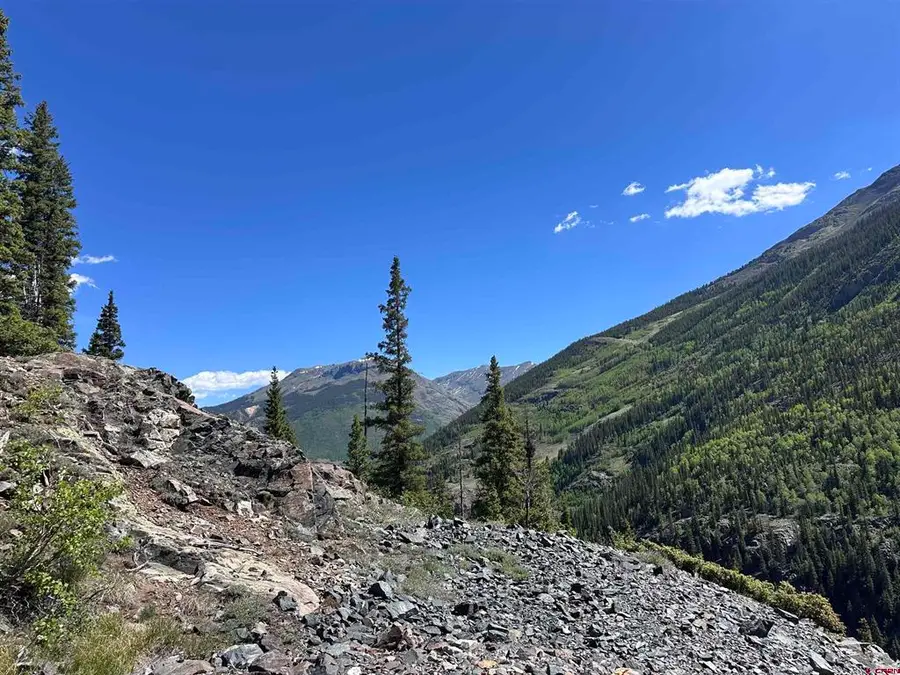 Belle Conklin Highway 550, Silverton, CO 81433 - #3