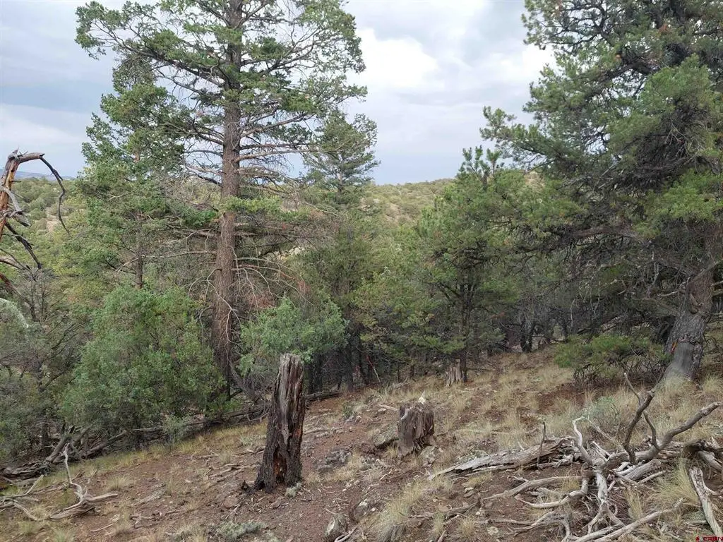 222 Sunrise Road, South Fork, CO 81154 - #1
