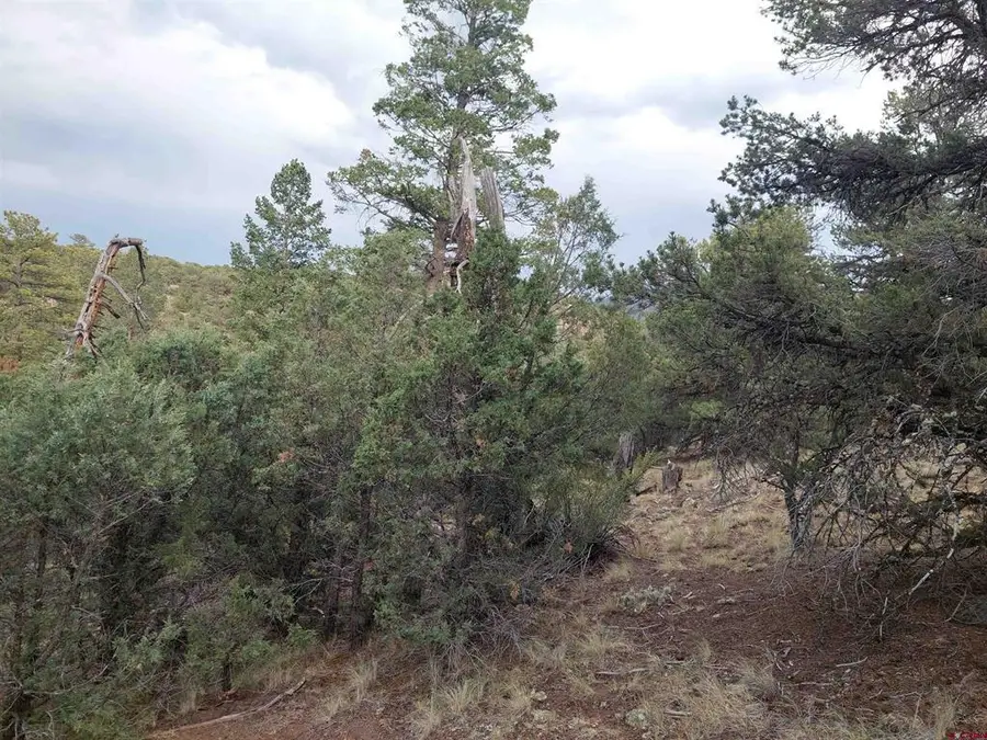 222 Sunrise Road, South Fork, CO 81154 - #2