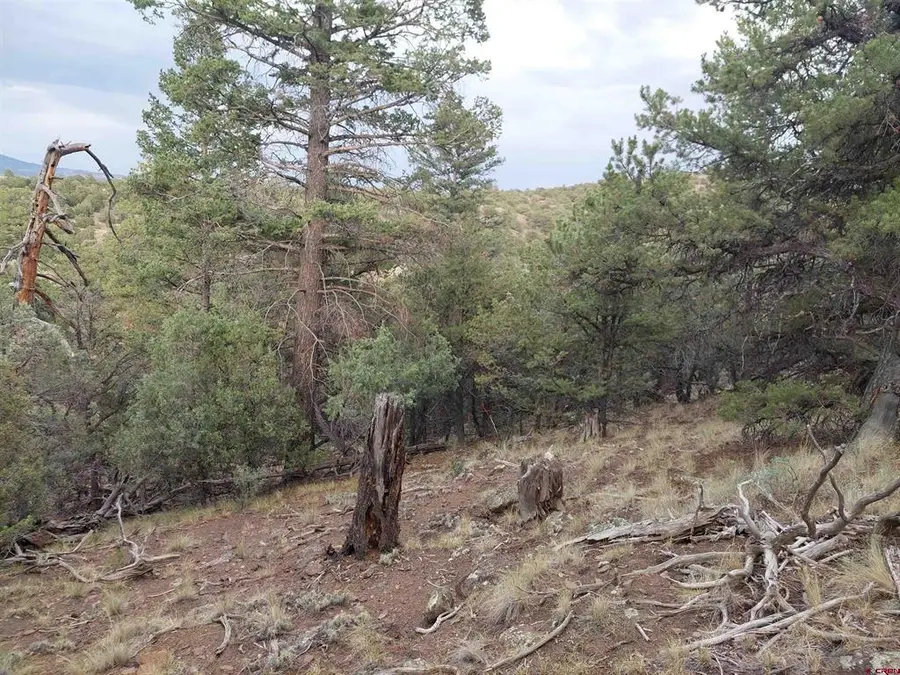 222 Sunrise Road, South Fork, CO 81154 - #3