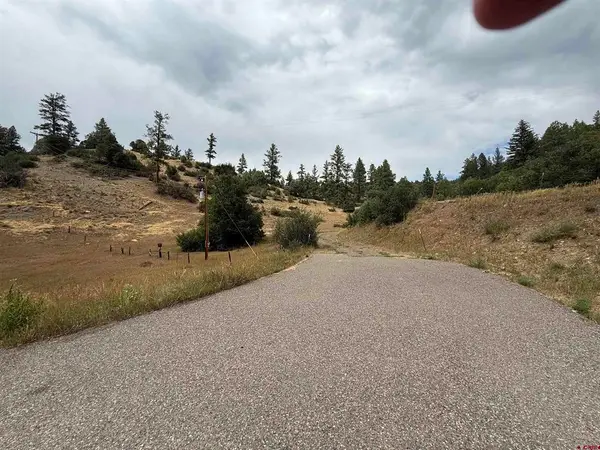 X Us Hwy 84 Highway, Pagosa Springs, CO 81147