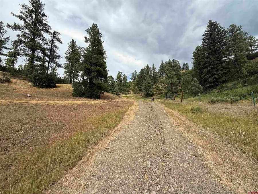 X Us Hwy 84 Highway, Pagosa Springs, CO 81147 - #3