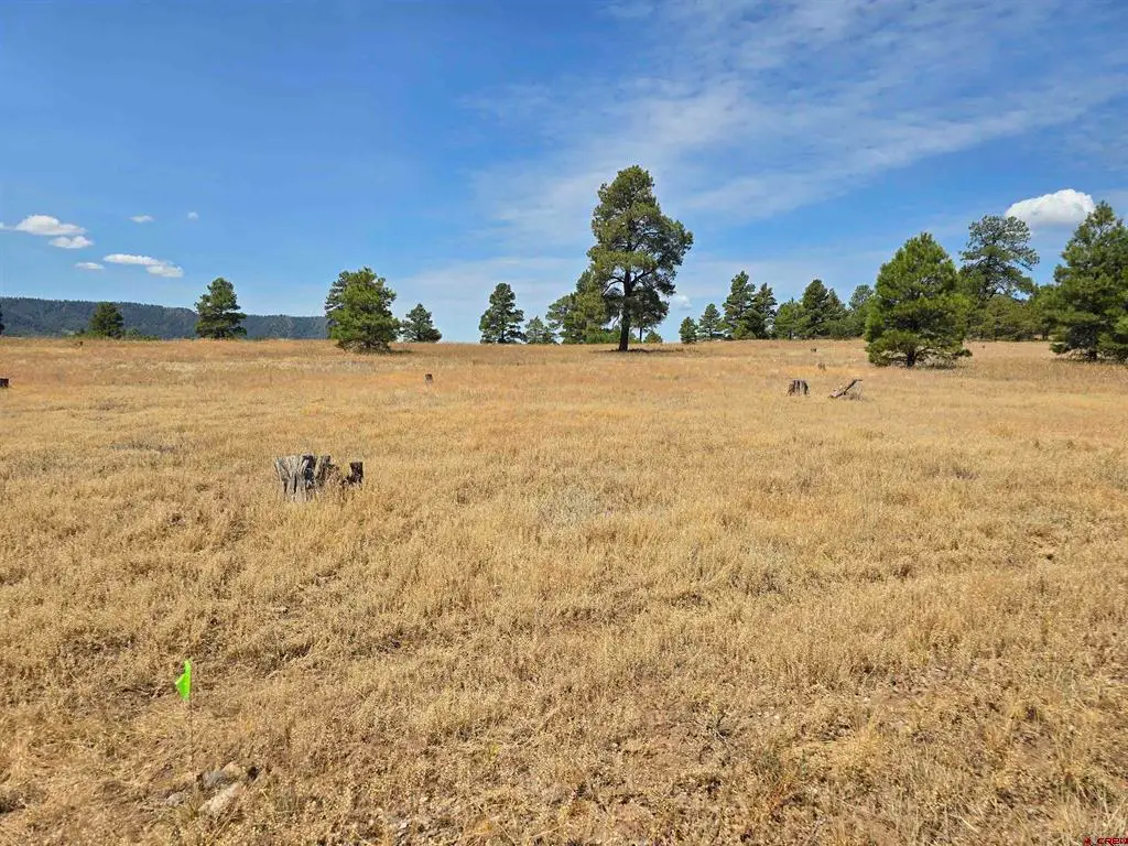 94 Greenway Drive, Pagosa Springs, CO 81147 - #1