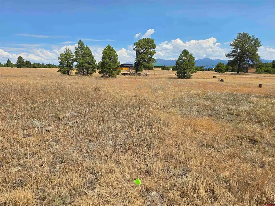 94 Greenway Drive, Pagosa Springs, CO 81147 - #3