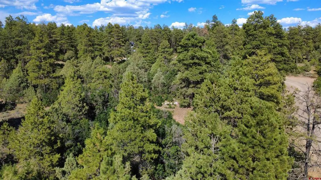 1824 Crooked Road, Pagosa Springs, CO 81147 - #1