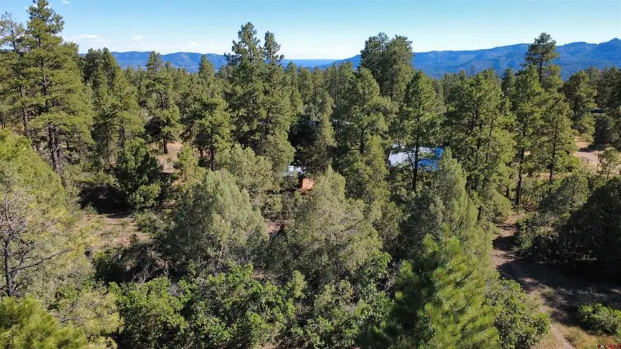 1824 Crooked Road, Pagosa Springs, CO 81147 - #2