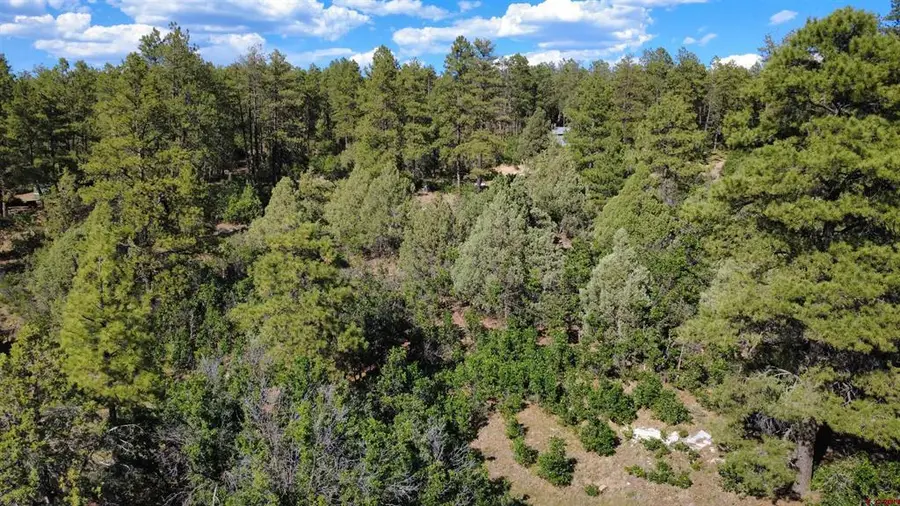 1824 Crooked Road, Pagosa Springs, CO 81147 - #3