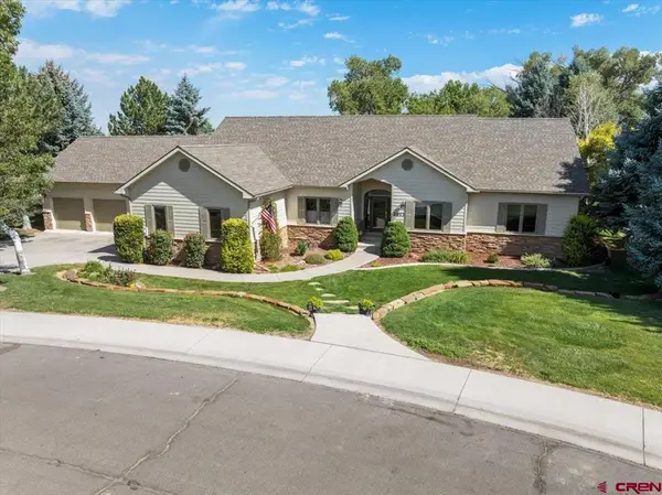 2017 Tree Line Lane, Montrose, CO 81403