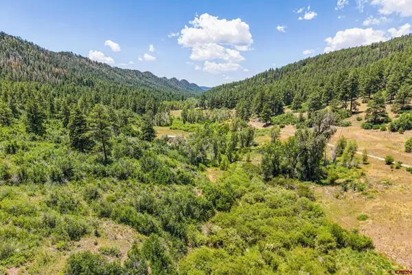 3230 Bear Creek Road, Bayfield, CO 81122