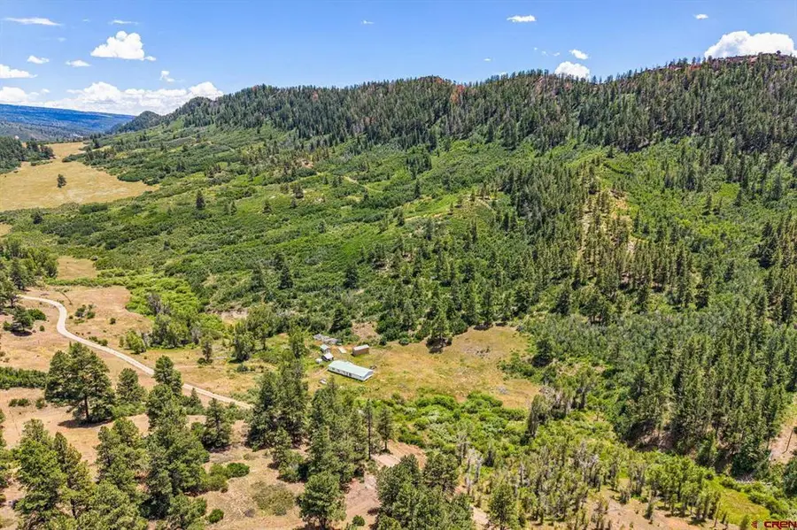 3230 Bear Creek Road, Bayfield, CO 81122 - #2