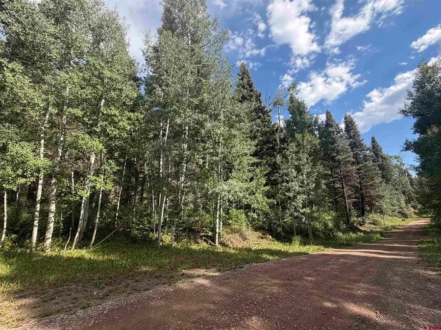 454 Mccoy Creek, Durango, CO 81301 - #3