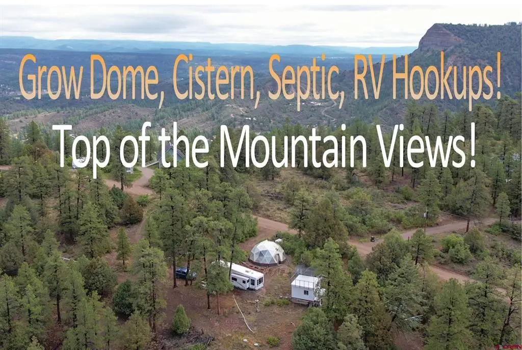 1460 Doc Adams Road, Pagosa Springs, CO 81147 - #1