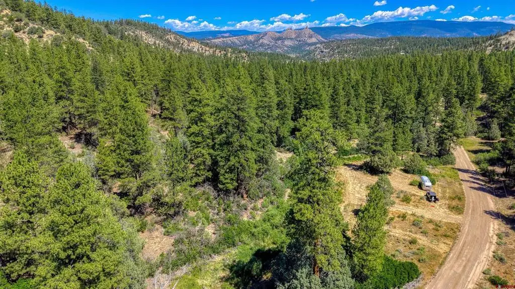 1859 County Road 917, Pagosa Springs, CO 81147 - #1