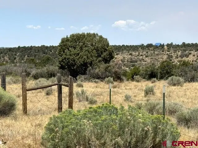 TBD Road 23, Lewis, CO 81327 - #2