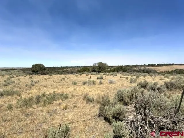 TBD Road 23, Lewis, CO 81327 - #3
