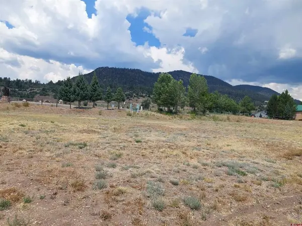 91 S Alder Creek Ln, South Fork, CO 81154