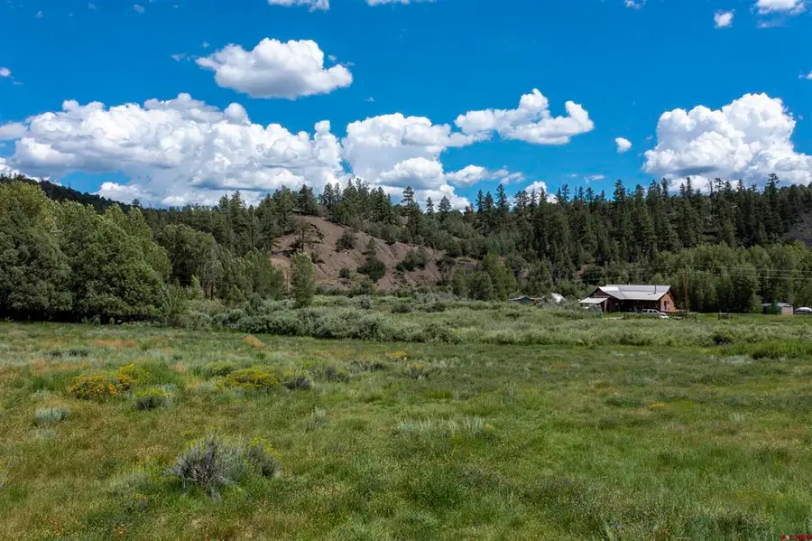 X County Road 335, Pagosa Springs, CO 81147 - #3
