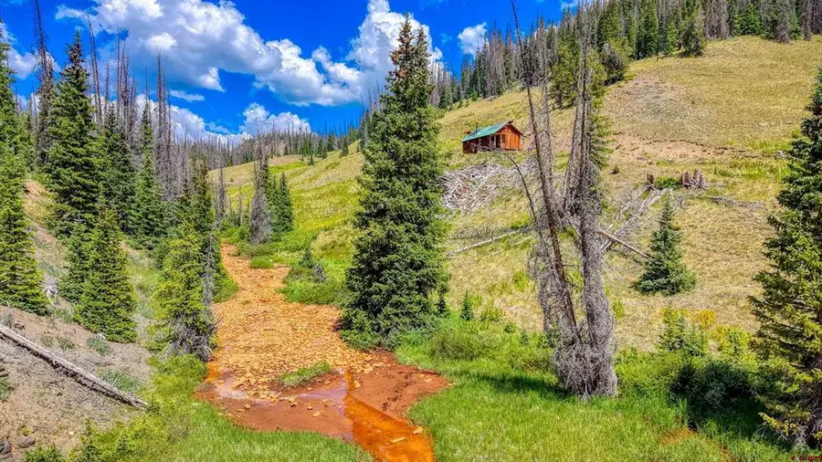 X Iron Creek Drive, Platoro, CO 81120 - #3