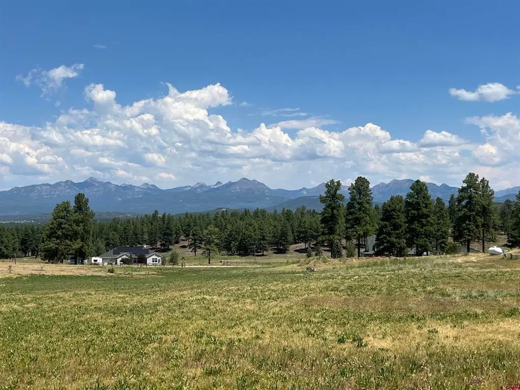 X Easy Street, Pagosa Springs, CO 81147 - #1