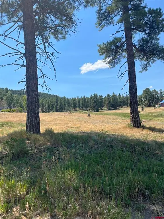 X Easy Street, Pagosa Springs, CO 81147 - #2