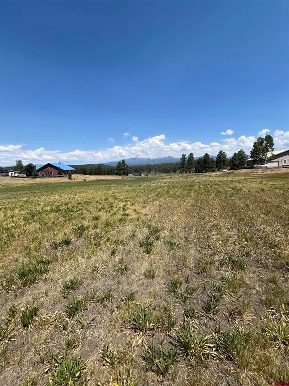 X Easy Street, Pagosa Springs, CO 81147 - #3