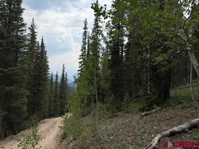 Lot 1 Overland Estates, Cr 110, Silverton, CO 81433 - #3