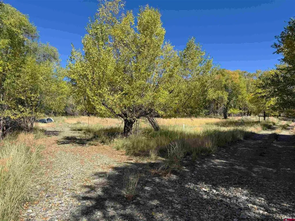 Lots 1 & 2 Price Road, Paonia, CO 81428 - #1