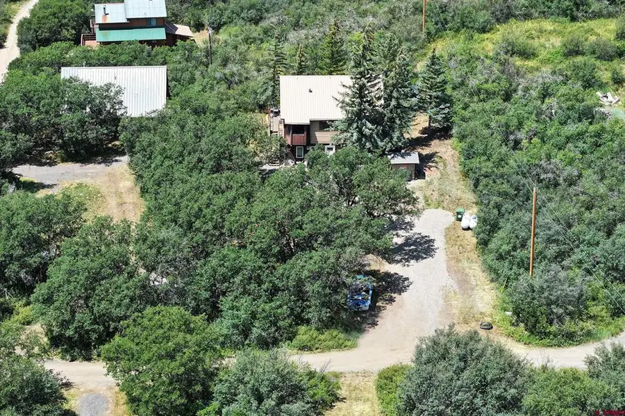 15699 Aspen Glen Lane, Collbran, CO 81624 - #3
