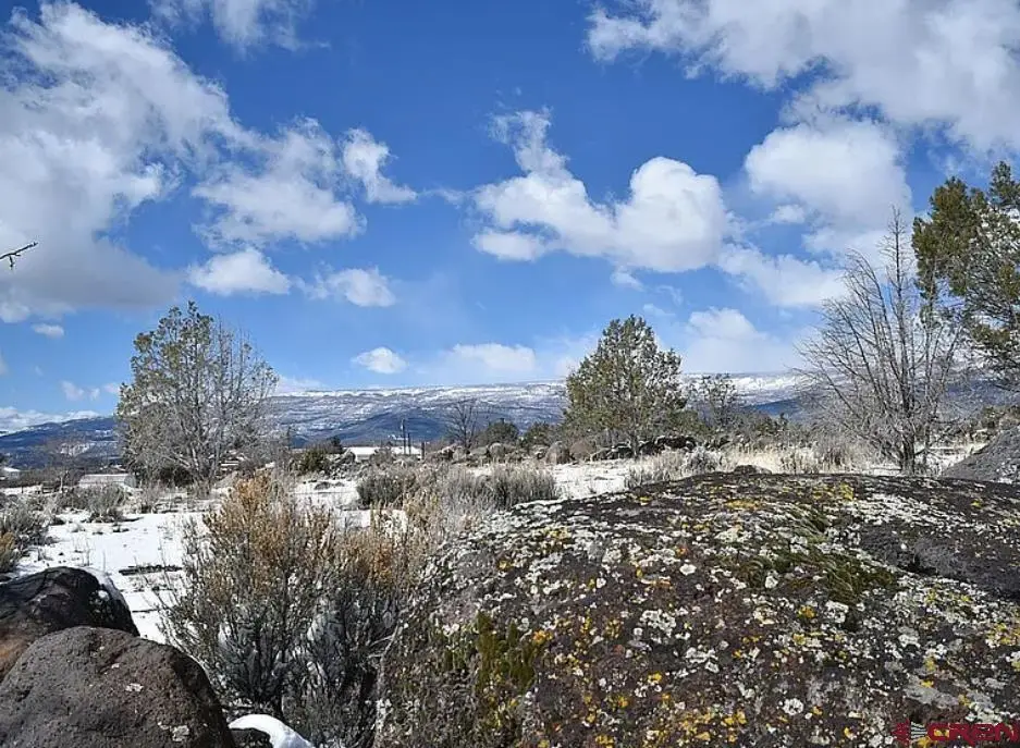345 NW Elm Avenue, Cedaredge, CO 81413 - #1