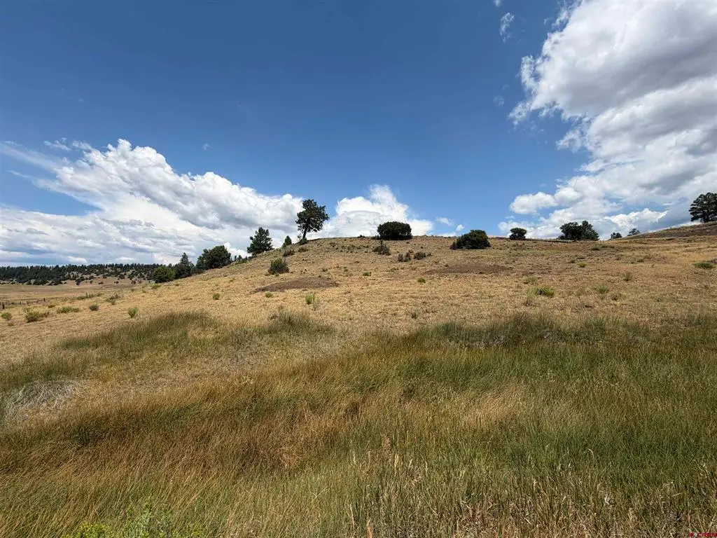 893 Loma Linda Drive, Pagosa Springs, CO 81147 - #1