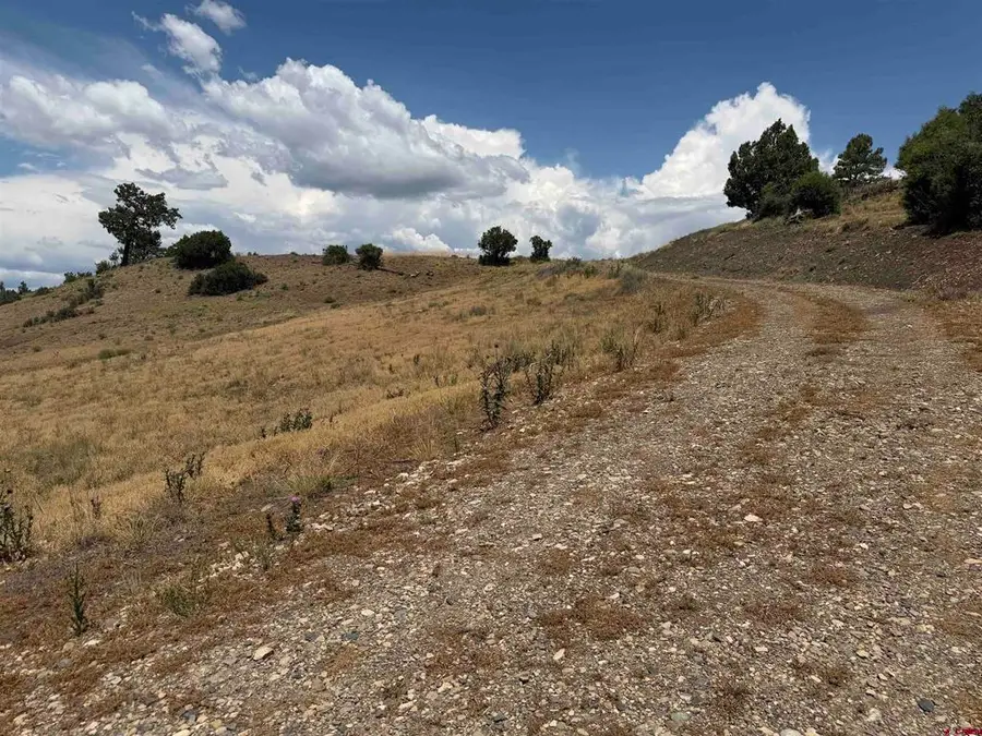 893 Loma Linda Drive, Pagosa Springs, CO 81147 - #3