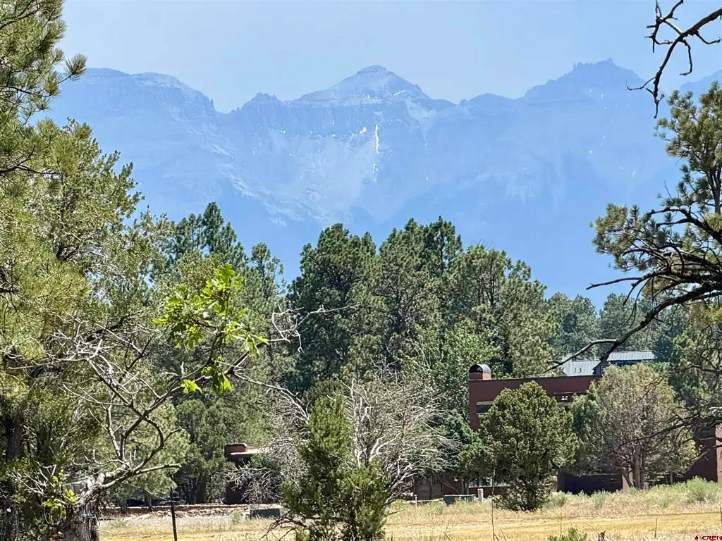 1761 (lot-V321) Marmot Drive, Ridgway, CO 81432 - #1