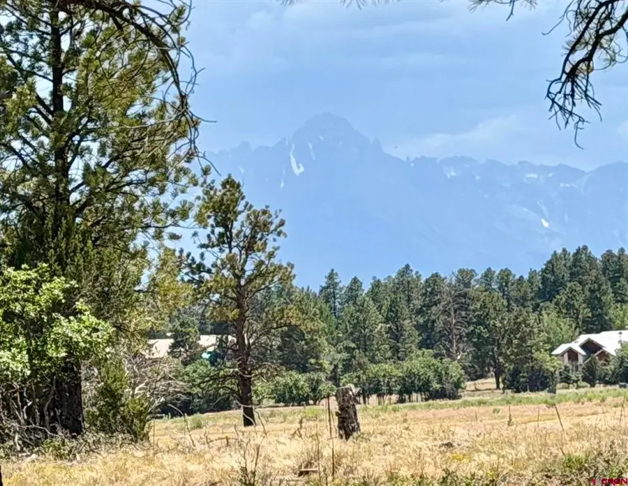 1761 (lot-V321) Marmot Drive, Ridgway, CO 81432 - #2