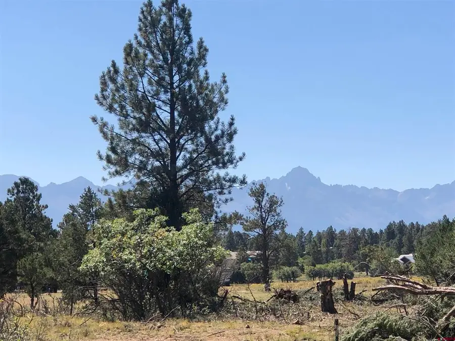 1761 (lot-V321) Marmot Drive, Ridgway, CO 81432 - #3