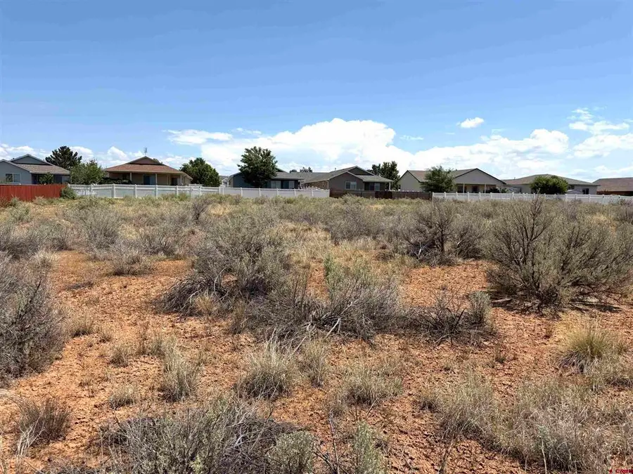 TBD Corri Court, Cortez, CO 81321 - #3