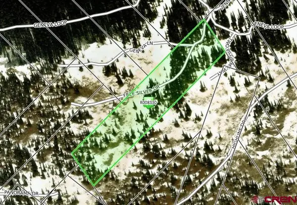 70 Free Silver Drive, Pitkin, CO 81241