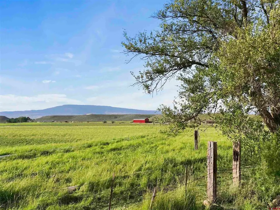 12520 Pendleton Lane, Delta, CO 81416 - #3