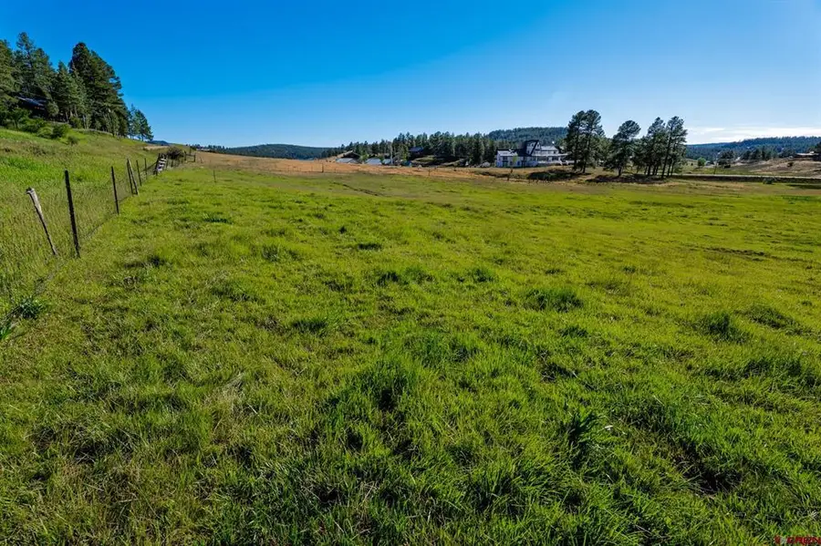 202 Pineview, Pagosa Springs, CO 81147 - #3
